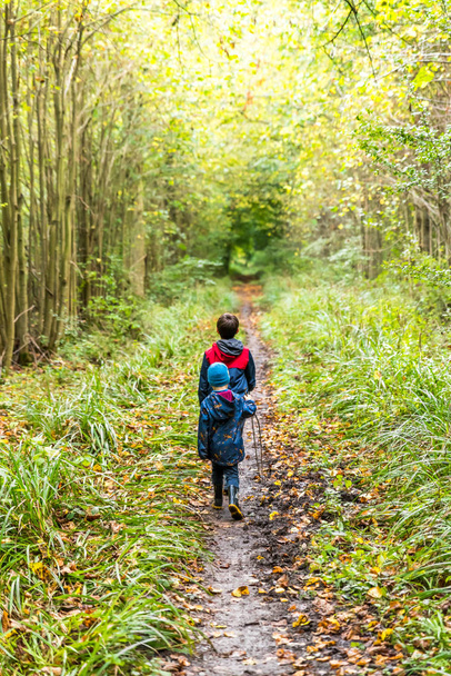 Two boys on footpath in english forest park - Photo, Image