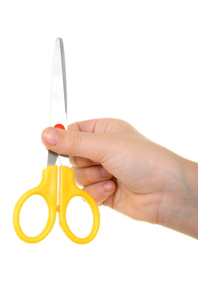 Scissors in hand - Фото, зображення