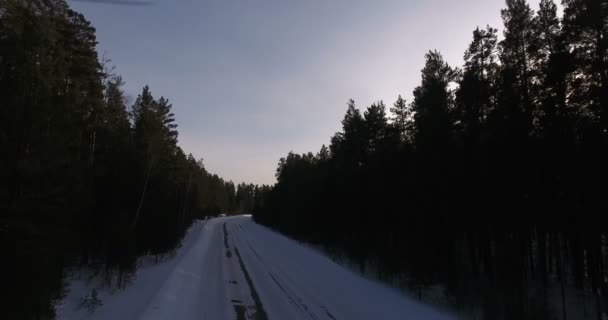 Μια μοναχική χειμερινή δρόμο μέσα στο δάσος ανάμεσα ψηλά δέντρα από τον αέρα. - Πλάνα, βίντεο