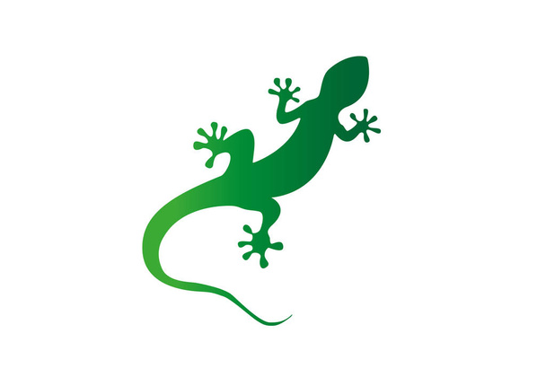 Gecko Vector ilustración
 - Vector, Imagen