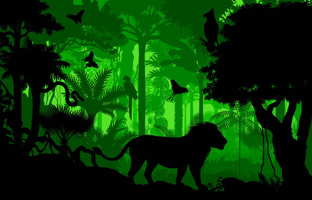 Διάνυσμα βράδυ τροπικό δάσος ζούγκλα παρασκήνιο με λιοντάρι - Διάνυσμα, εικόνα