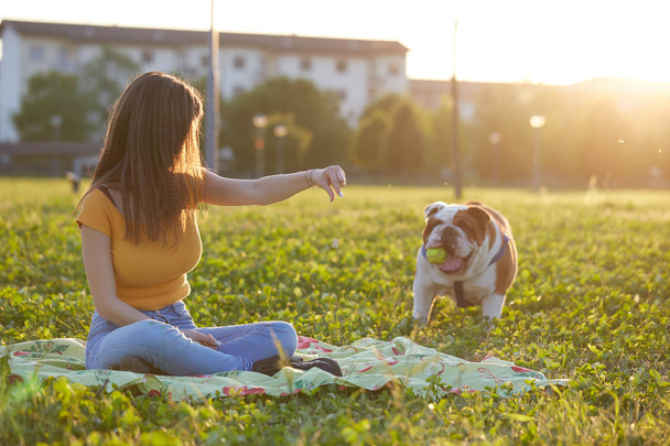 young Girl playing with English Bulldog at park - Fotoğraf, Görsel