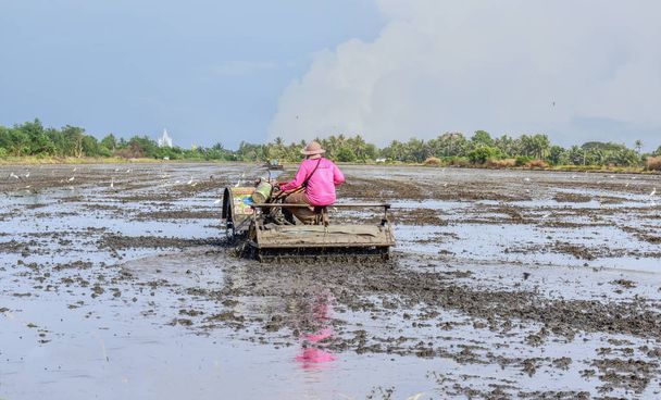 Thai Farmer pomocí kormidla traktoru v rýžové pole - Fotografie, Obrázek