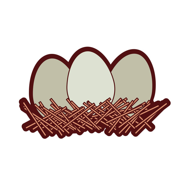 barevné husté silueta hnízdo s vejci - Vektor, obrázek