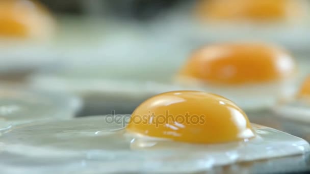 eggs, cooking, cooking egg dishes - Filmagem, Vídeo