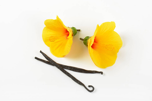 hibiscus flowers and vanilla pods - Photo, Image