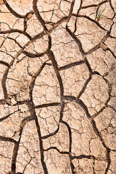 Terreno incrinato causato dalla siccità. Impatto del concetto di riscaldamento globale
. - Foto, immagini