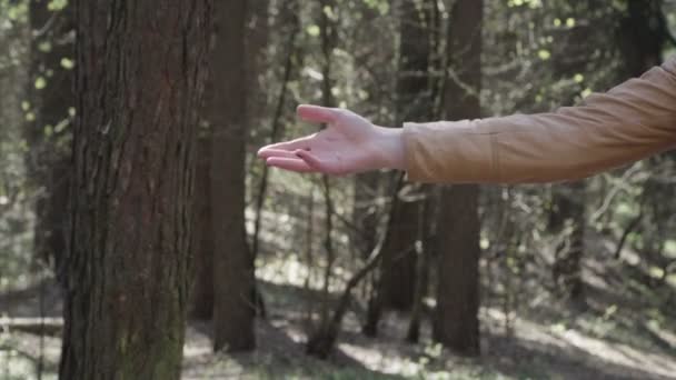 woman in head-mounted display in the forest - Footage, Video