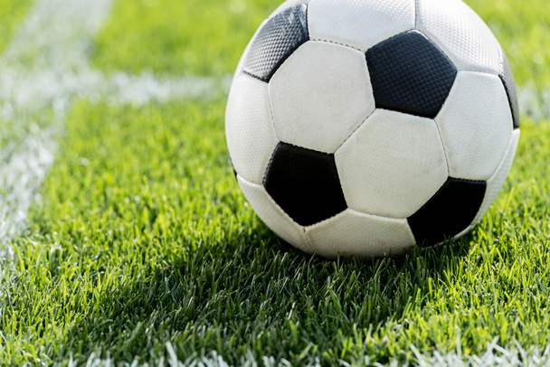 футбольный мяч на траве - Фото, изображение