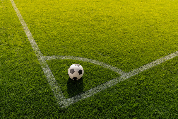 bola de futebol na grama - Foto, Imagem