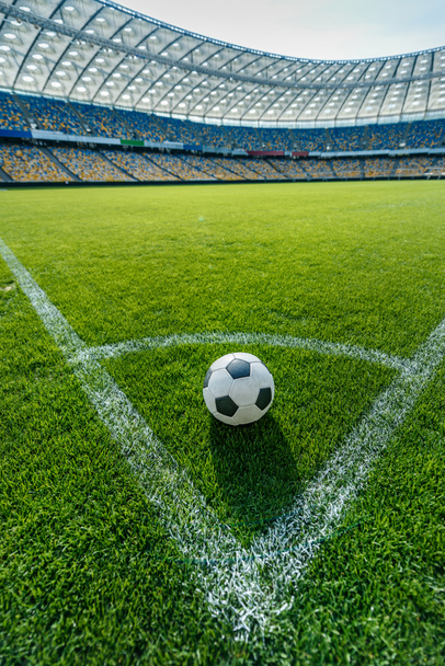 voetbal op gras - Foto, afbeelding