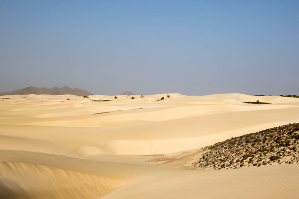 Piasek pustyni w Cape Verdi - Zdjęcie, obraz