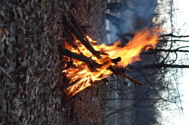 das Feuer im kalten Herbstwald - Foto, Bild