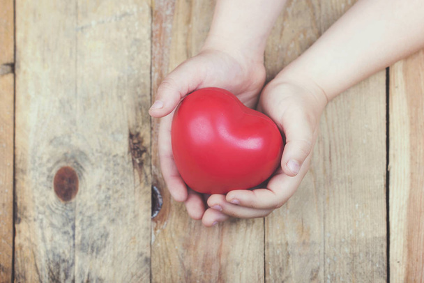 Heart in a child's hands - Photo, Image