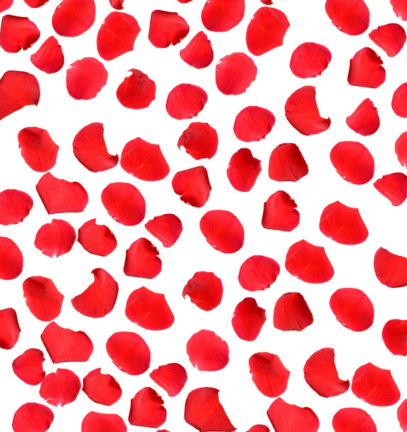 όμορφα κόκκινα ροδοπέταλα σε λευκό φόντο - Φωτογραφία, εικόνα
