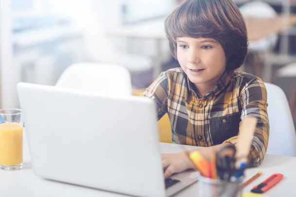 Enthusiastic boy using laptop at home - Фото, изображение