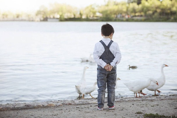 Задумчивый ребенок на озере. Вид сзади
 - Фото, изображение