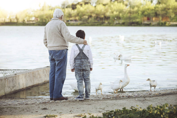 Nonno con suo nipote sul lago. Vista posteriore
 - Foto, immagini
