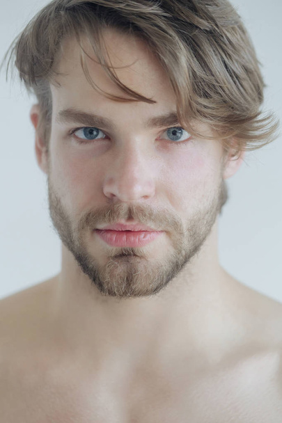 Handsome bearded man with beard and stylish haircut - Zdjęcie, obraz