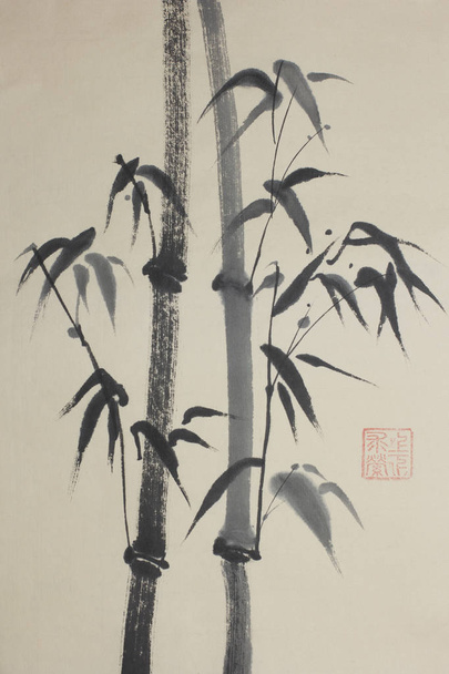Group of bamboo trees - Foto, Imagen
