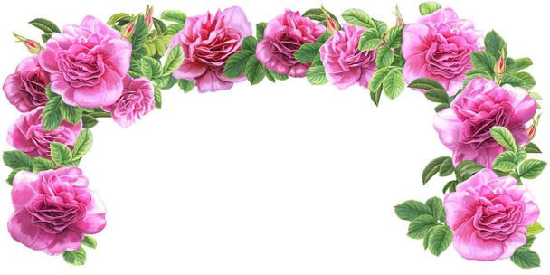 pink roses frame - Fotoğraf, Görsel