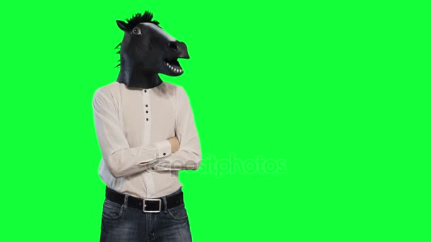Ένας άντρας σε ένα άλογο το μάσκα γνέφει το κεφάλι του χορεύοντας chromakey - Πλάνα, βίντεο