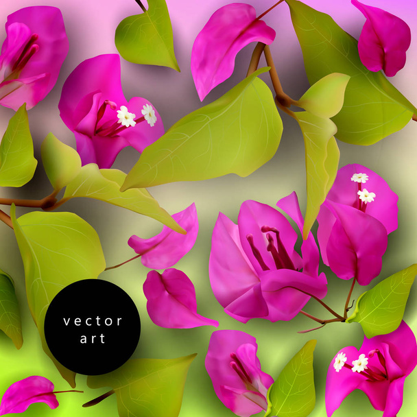 Summer-Concept-Tropical-flowers-02 - Vector, Image