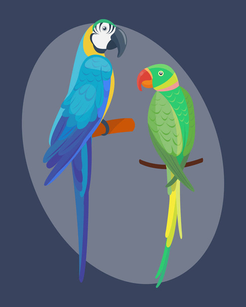 Cartoon tropical parrot wild animal bird vector illustration wildlife feather zoo color nature vivid. - Vector, Imagen