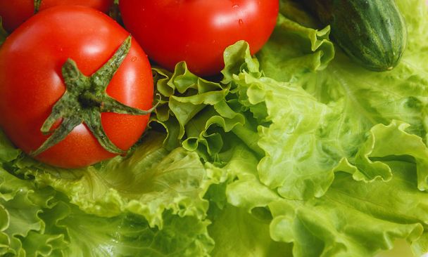 Tomato, cucumber vegetable and salad. Health care food - Foto, immagini