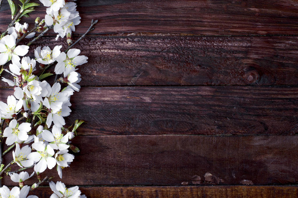 Flowering almond branch with white flowers  - Zdjęcie, obraz