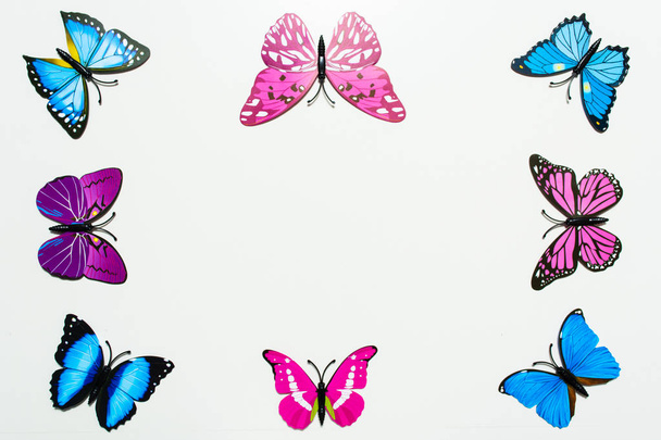 Butterfly frame decoration on white background - Foto, Imagen