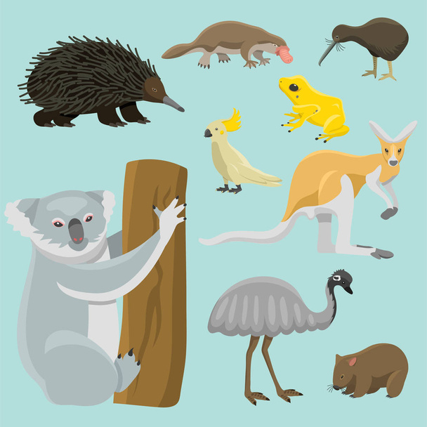 Australia animales salvajes dibujos animados personajes de la naturaleza popular estilo plano mamífero colección vector ilustración
. - Vector, imagen