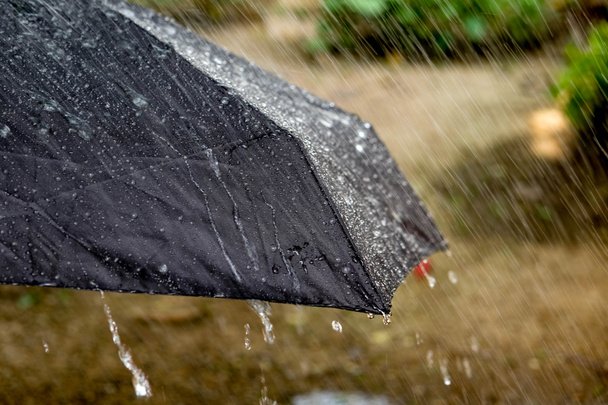 Regentropfen fallen von einem schwarzen Regenschirm - Foto, Bild