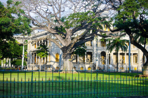 Деревья, окружающие дворец в Гонолулу
 - Фото, изображение