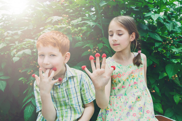 Šťastné děti jíst Malina z prstů v letní zahradě - Fotografie, Obrázek