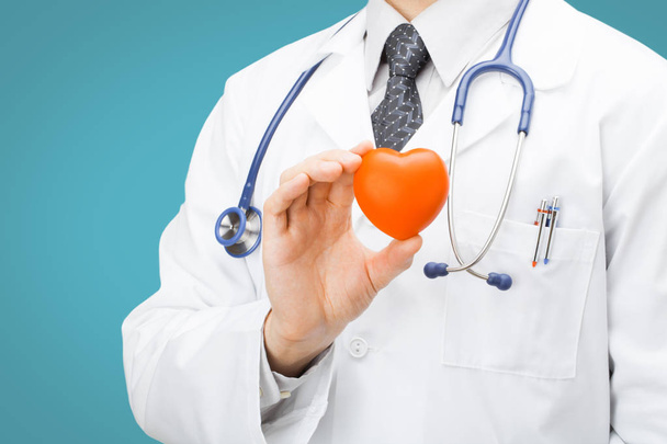 Ιατρική και υγειονομική περίθαλψη - γιατρός, κρατώντας την καρδιά παιχνίδι με ένα χέρι σε ανοιχτό μπλε φόντο - Φωτογραφία, εικόνα