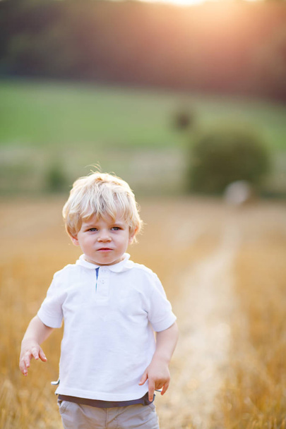 Happy blond kid boy enjoying sunset in wheat field. - Photo, Image