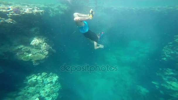 Homem nadando subaquático perto do recife de coral em câmera lenta
. - Filmagem, Vídeo
