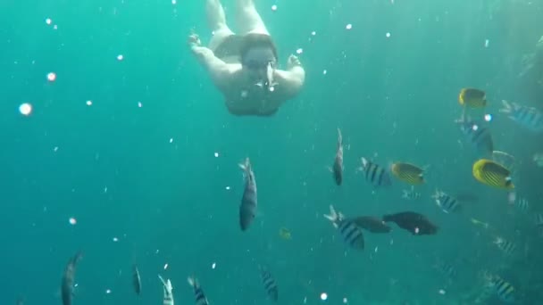 Lächelndes Mädchen im Bikini und mit Brille schwimmt an einem sonnigen Tag unter Wasser zu einem Kameramann - Filmmaterial, Video