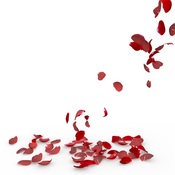 Rosenblätter fallen zu Boden - Foto, Bild
