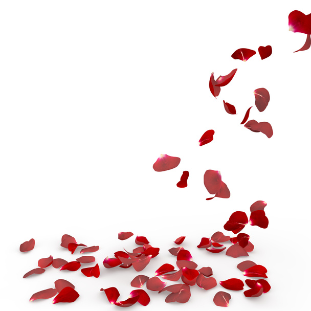Rose petals fall to the floor - Photo, Image