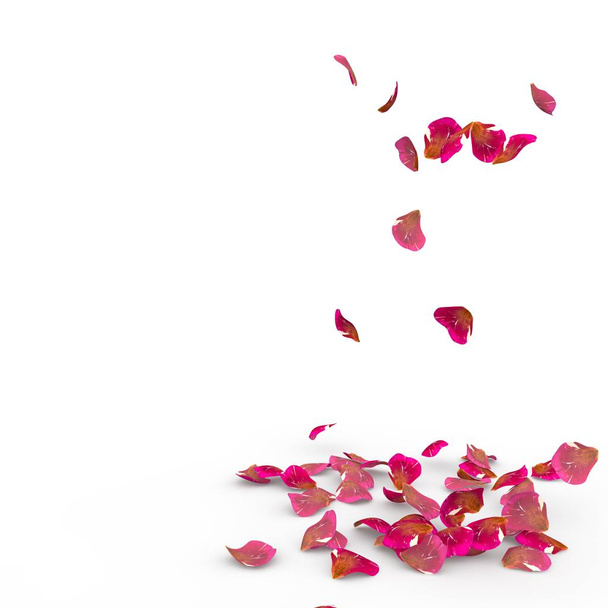 Petali di rosa cadono a terra
 - Foto, immagini