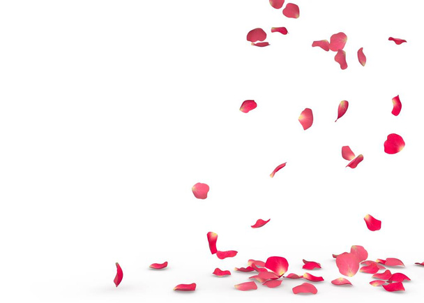 Pétalos de rosa caen al suelo
 - Foto, imagen