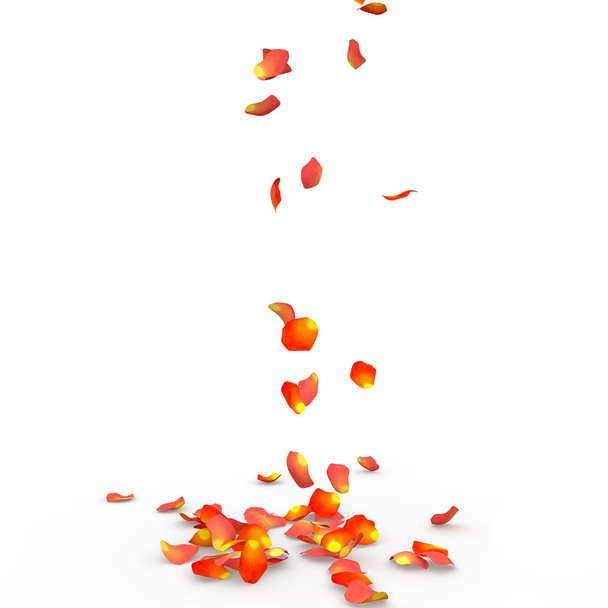 Pétales de rose tombent au sol
 - Photo, image