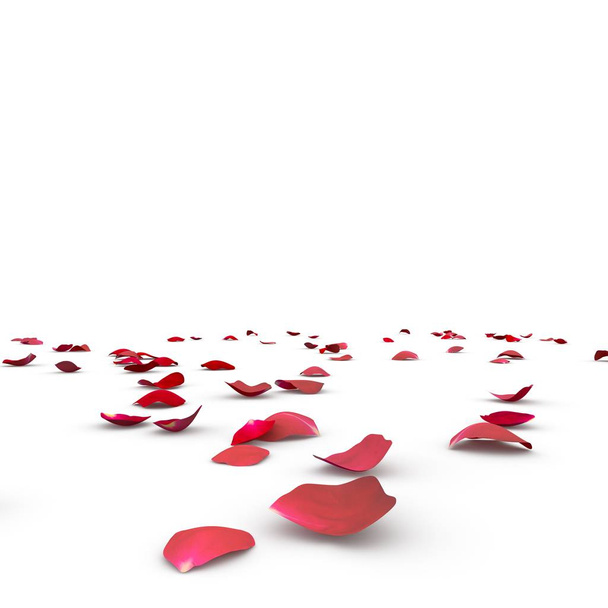Rose petals fall to the floor - Fotografie, Obrázek