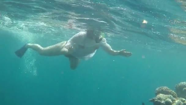 Fiatal nő megy snorkeling át egy magas sziklán sok-sok színes halat rajta - Felvétel, videó