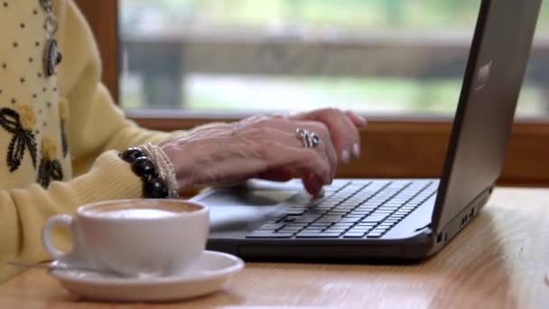 Senior womans hands and keyboard. - Video, Çekim