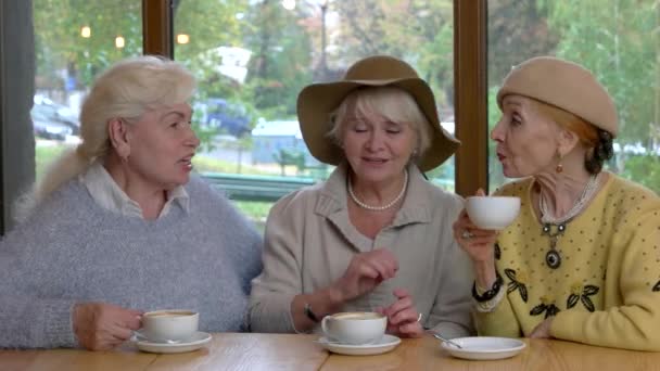 Τρεις γυναίκες ανώτερος πίνοντας καφέ. - Πλάνα, βίντεο