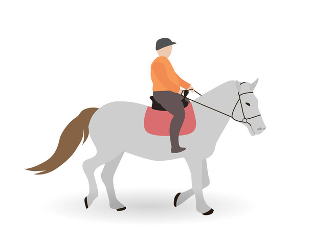 Rider on Gray horse. Vector Illustration. - Vector, Image