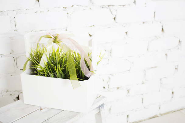 grass in a pot, white background, minimalism - Фото, изображение